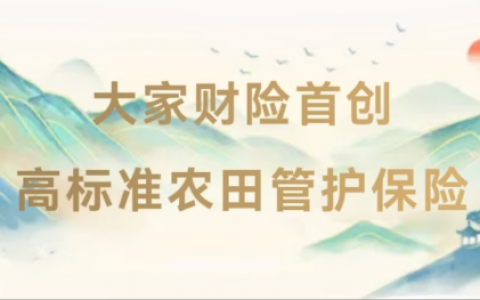 守护每一寸耕地，大家财险高标准农田管护保险为粮食安全护航