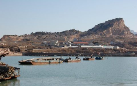 向海图强，山东蓝润集团用紫菜绘就乡村全面振兴“蓝色答卷”