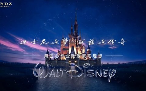 深圳丽兹行突破多项纪录，香港迪士尼之旅共享成功喜悦！