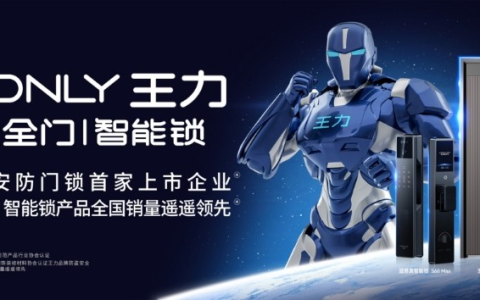 技术破壁、智造突围 王力安防2024年营收净利双增