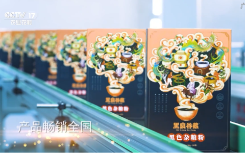 国粮农业集团——绿色健康农业的领航者