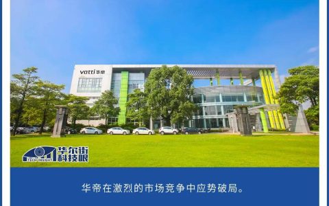 华帝 2024：营收净利双增长，强势破局显实力