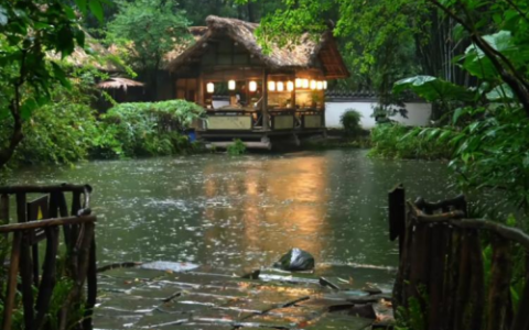 雨落杜甫草堂的诗意浪漫，一起喝好酒梅见青梅酒
