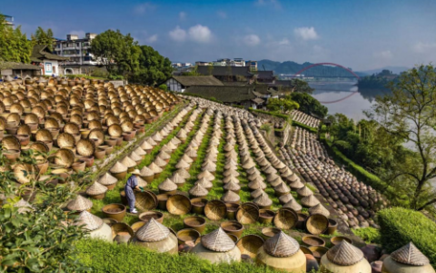 中国酱油活化石先市酱油，600 口陶缸微生物的传承密码