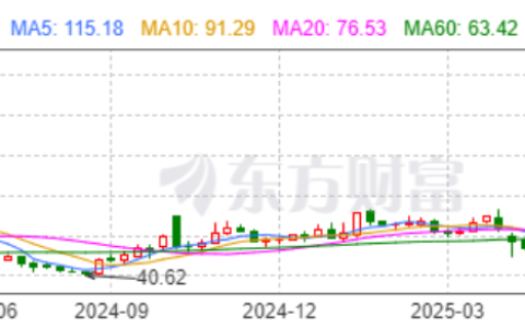 近250家机构密集调研！这家出海“急先锋”如何穿越贸易战火线？