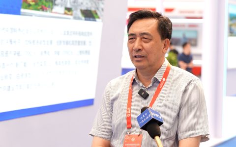 武强：协调规模与效能，推进煤炭与新能源协同发展