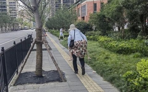 高温下的暖心守护：太平洋房屋经纪人化身”社区清凉使者”