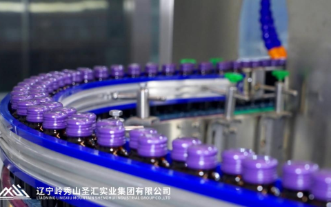 马来西亚商界青年辽宁商业考察团到访岭秀山圣汇集团 共话大健康产业合作新机遇