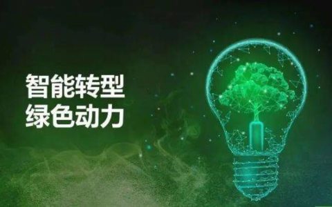 全球经济新格局下的睿盛环球机遇与突围之道