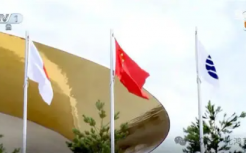 王清州受邀亮相大阪世博会国际艺术大展并获奖