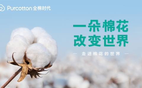 一朵棉花改变世界 全棉时代溯源纪录片上线